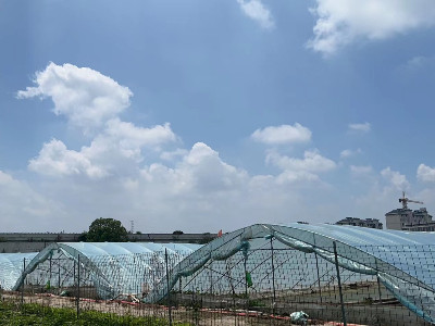 恩拓博高速增氧機(jī)上海使用案例！